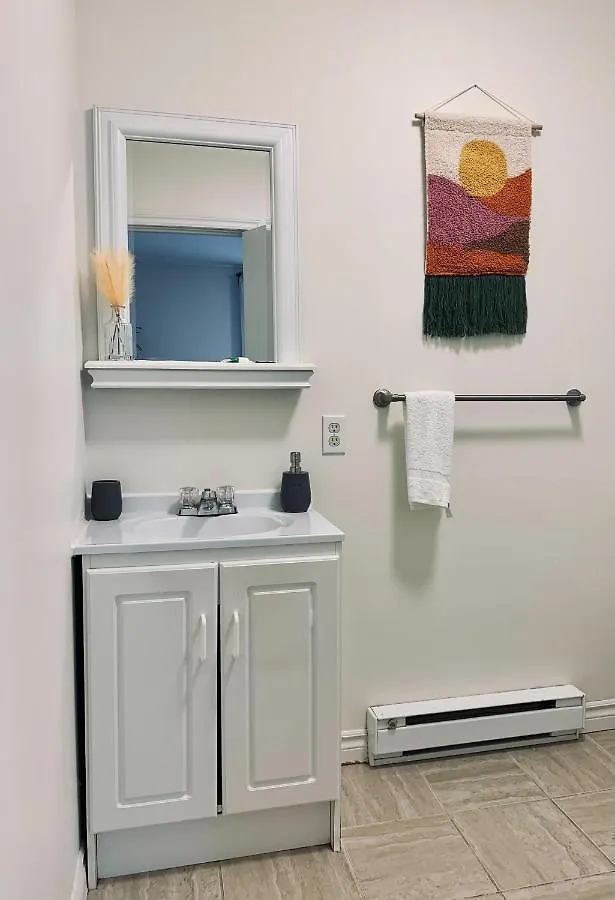 265 Pet-Friendly, Lovely Studio W Balcony Halifax Daire