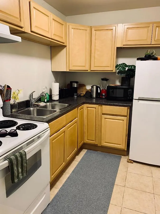 Daire 265 Pet-Friendly, Lovely Studio W Balcony Halifax Kanada